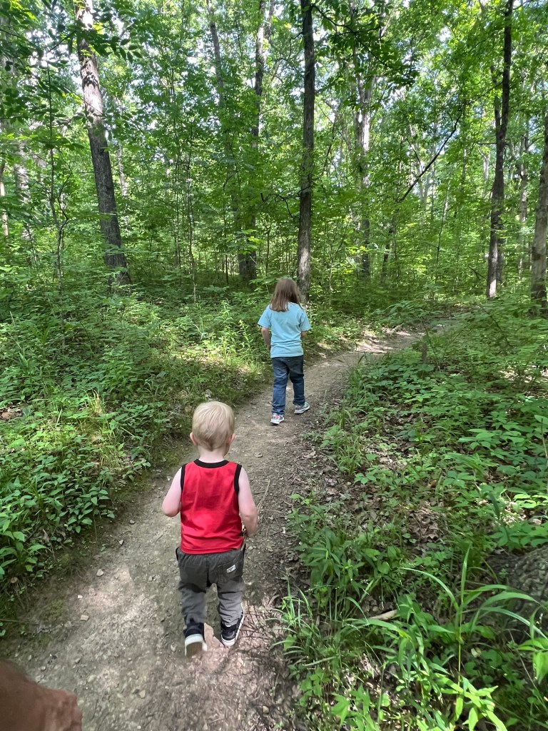 Kids hiking in the woods