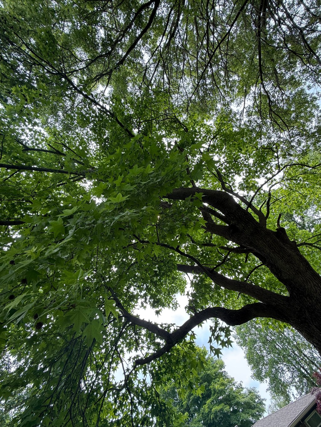 Why do I feel like something is changing in&nbsp;me?