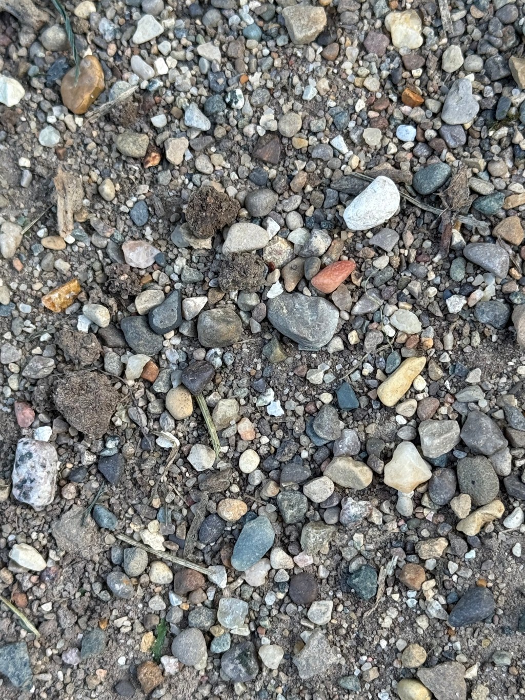 Can Spiritual Awakening Reshape Your Elemental&nbsp;Balance?